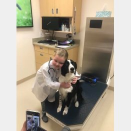 （「チーム・エマ」のフェイスブックから）