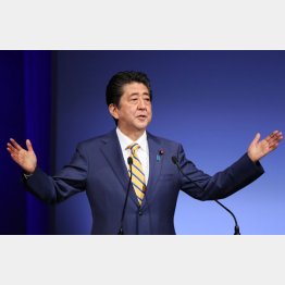 歴史に名を残すのは私だ（Ｃ）日刊ゲンダイ