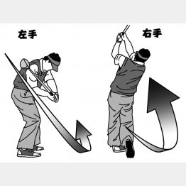 （イラスト・渡辺隆司）