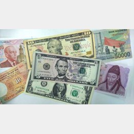 外貨をうまく活用（Ｃ）日刊ゲンダイ