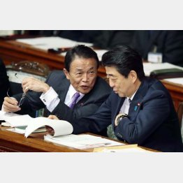 麻生財務相と安倍首相（Ｃ）日刊ゲンダイ