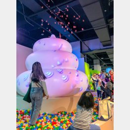 うんこミュージアム（Ｃ）日刊ゲンダイ