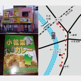 （Ｃ）日刊ゲンダイ