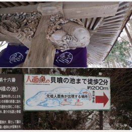 看板でＰＲ（提供写真）