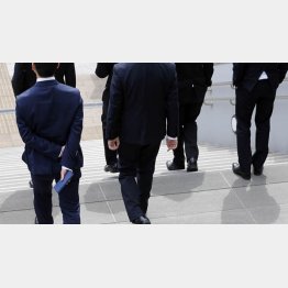 格差拡大が“草食”の原因（写真はイメージ）／（Ｃ）日刊ゲンダイ