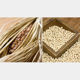 2018年春は大手３社が値上げをしているが…