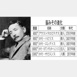 東京大学医学部病理標本室には夏目漱石（左）らの脳が（Ｃ）共同通信社
