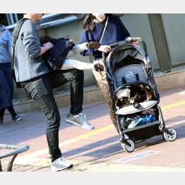 写真はイメージ（Ｃ）日刊ゲンダイ