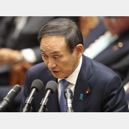 しつこく求めていたのにそっけないコメント（菅官房長官）／（Ｃ）日刊ゲンダイ
