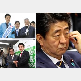 維新（左下）とは蜜月、弔い合戦でも自民党公認北川候補（左上）は大苦戦／（Ｃ）日刊ゲンダイ