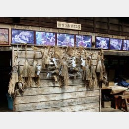 ⑥潮かつお（Ｃ）日刊ゲンダイ