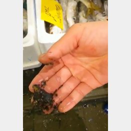 有害物質が検出された（市場関係者提供）