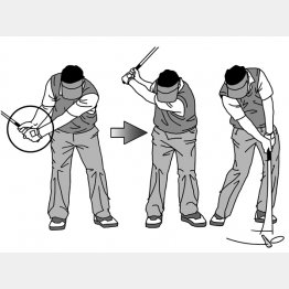 （イラスト・渡辺隆司）