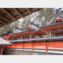 大きさでは日本一の春日造り（Ｃ）日刊ゲンダイ