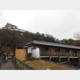 御橋廊下の向こうに和歌山城（Ｃ）日刊ゲンダイ
