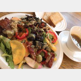 サラダビュッフェには10種類以上の野菜が並ぶ（Ｃ）日刊ゲンダイ