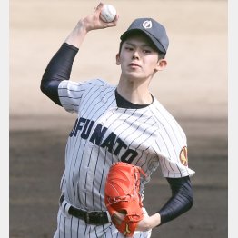 この夏、一番注目を浴びそうな大船渡・佐々木（Ｃ）日刊ゲンダイ