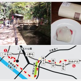 せせらぎが心地良い散策路（上左）と１日300個売れるいちご大福（上右）（Ｃ）日刊ゲンダイ