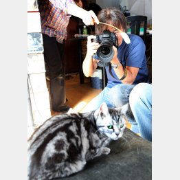 （Ｃ）日刊ゲンダイ