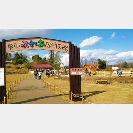 改称で来場者数が年間20万人から70万人になった“ぎふ清流里山公園”／（提供写真）