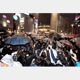 大フィーバーだったが…（Ｃ）日刊ゲンダイ