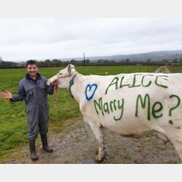 （シオンさんのツイッターから）