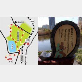 駅伝発祥の地が上野に（Ｃ）日刊ゲンダイ