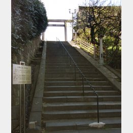 男坂を上って天神さまへ（Ｃ）日刊ゲンダイ