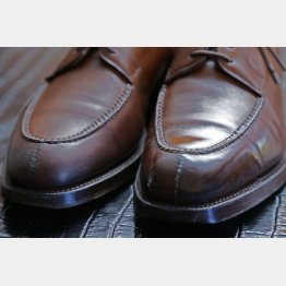 違いは明らか！（Ｃ）日刊ゲンダイ