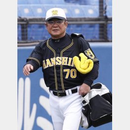 高代延博阪神二軍コーチ（Ｃ）日刊ゲンダイ