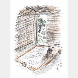 （画・牧野伊三夫）