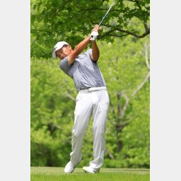 手嶋多一（Ｃ）日刊ゲンダイ