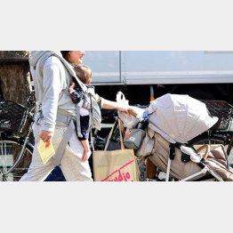 年金を減額されながら保険料を払う…（Ｃ）日刊ゲンダイ