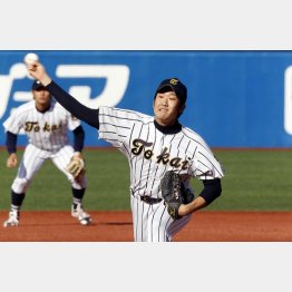 東海大相模時代の菅野（Ｃ）日刊ゲンダイ