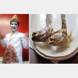 深海魚くんと珍魚・ワラスポ（提供写真）