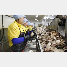 外国人に支えられている（Ｃ）共同通信社