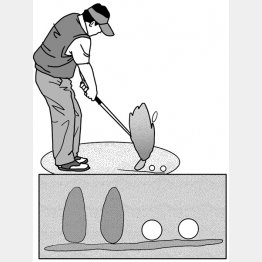 イラスト・渡辺隆司