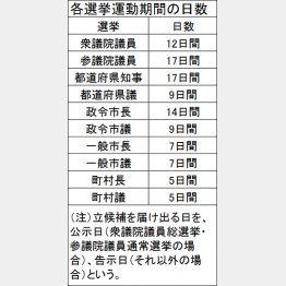 各選挙運動期間の日数（Ｃ）日刊ゲンダイ