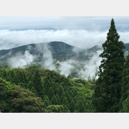 多くの温泉がある霧島市（Ｃ）日刊ゲンダイ