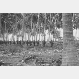 動くものなら何でも食べた（Ｃ）共同通信社