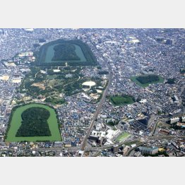 百舌鳥古墳群（南西から＝堺市提供）