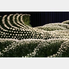 写真はイメージ