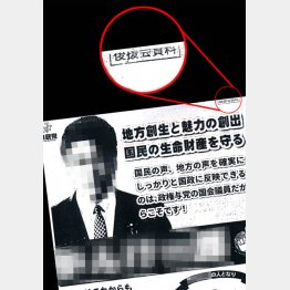 選挙区内に広く配られた（Ｃ）日刊ゲンダイ