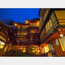 夜はライトアップされとても幻想的（提供写真）