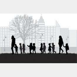 お散歩には細心の注意を払っているのに…（写真:iStock）