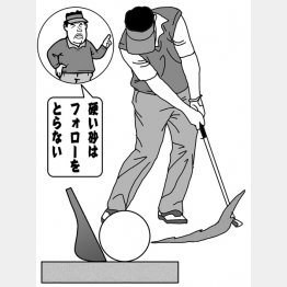 （イラスト・渡辺隆司）