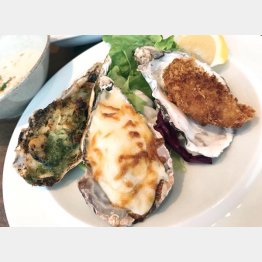 右から牡蠣フライ、牡蠣のグラタン、牡蠣のアンチョビバター焼き（Ｃ）日刊ゲンダイ