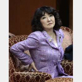 「片山隠し」で首相肝いり法案も断念（Ｃ）日刊ゲンダイ