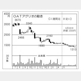 （Ｃ）日刊ゲンダイ