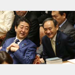 令和ファシズムタッグ（Ｃ）日刊ゲンダイ